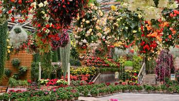 松江フォーゲルパーク / 1