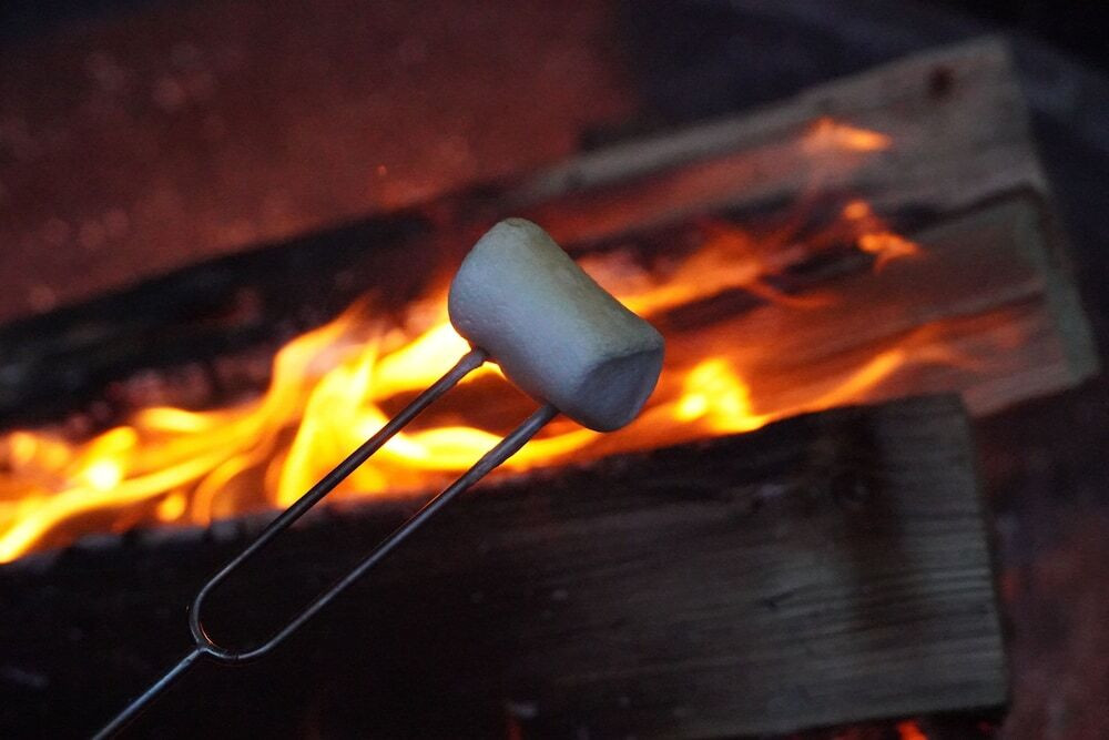 子供向けアクティビティ