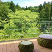 修善寺温泉 宙SORA 渡月荘金龍（静岡県 旅館） / 3