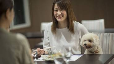 愛犬と一緒に楽しむ夕食 / 1