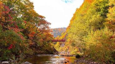 観光スポット / 1