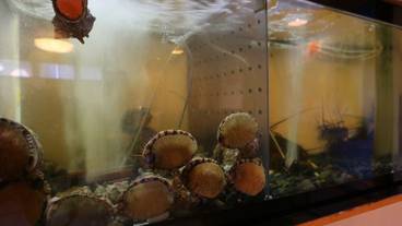 食事・飲み物 / 8