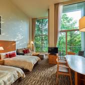 ホテルハーヴェスト旧軽井沢（長野県 リゾートホテル） / 3