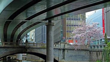 ランド ビュー / 12