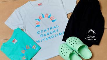 客室の設備とサービス / 19