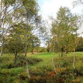 奥志賀高原シャレークリスチャニア（長野県 ペンション） / 4