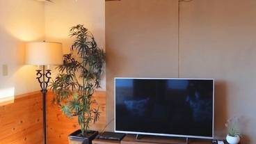 リビング エリア / 21