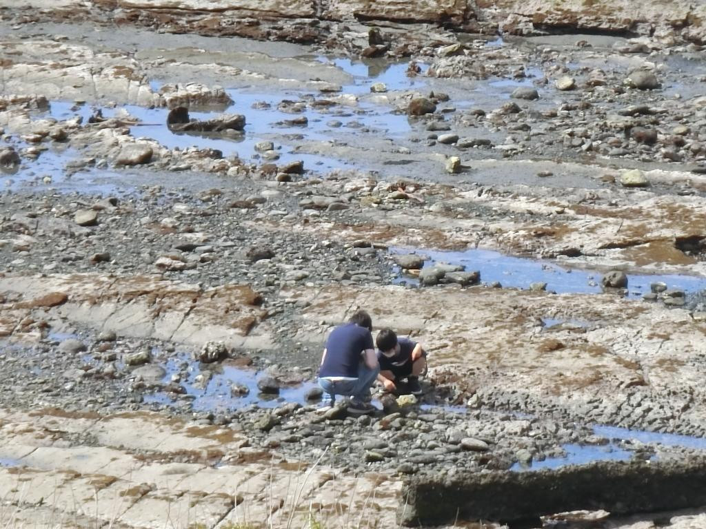 mnr619trsさんの写真 / 3