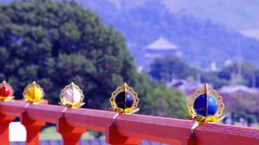 ランド ビュー / 18