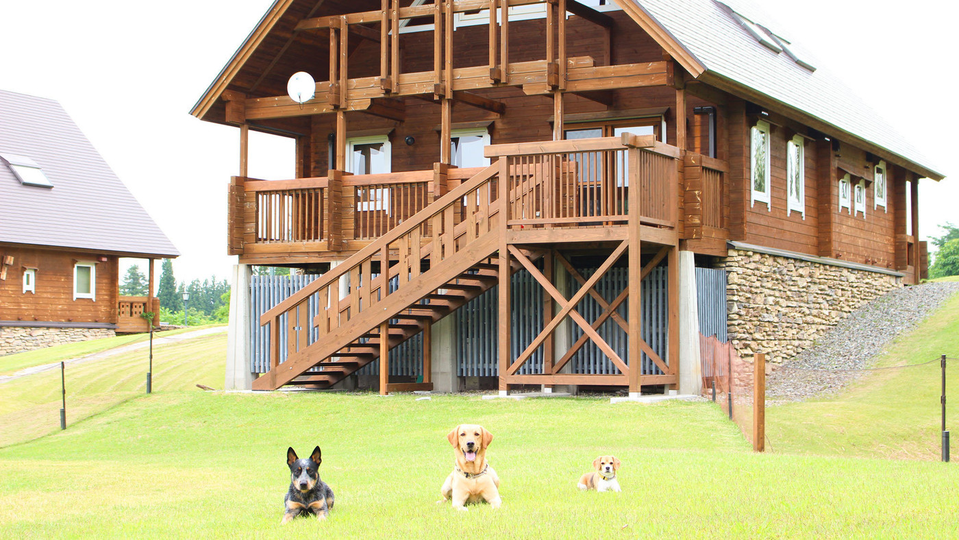 プライベートドッグラン付きのコテージで愛犬と贅沢旅4240492