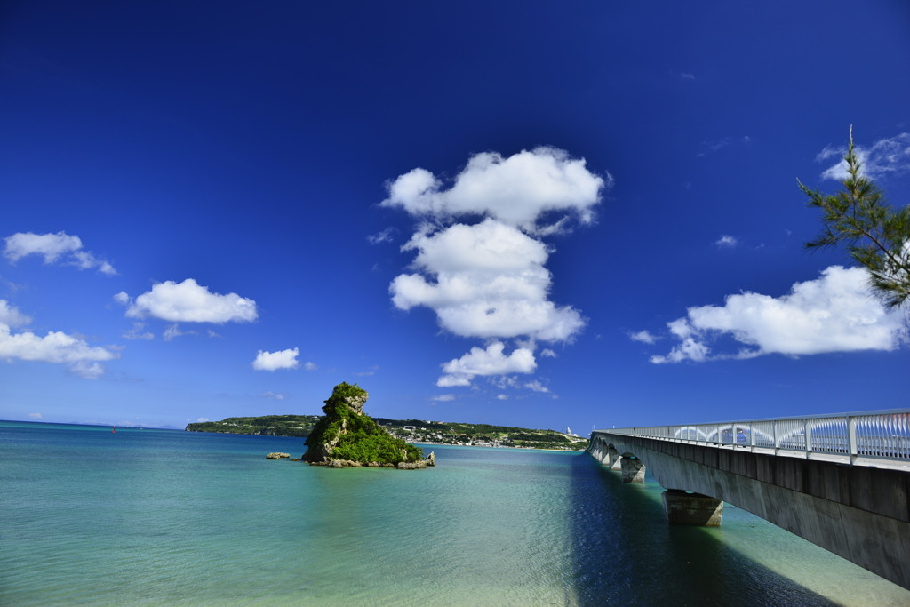 いかがでしたか?678849