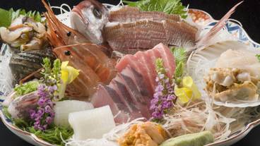 お刺身の皿盛り / 6