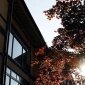 長門湯本温泉 楊貴妃浪漫の宿 玉仙閣（山口県 旅館） / 2