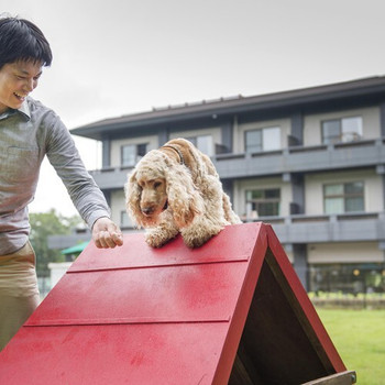 愛犬家の女子に。ワンちゃんと一緒に贅沢な休日を♪4085377
