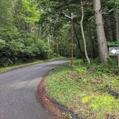 北軽井沢高原ホテル（群馬県 リゾートホテル） / 4