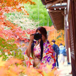 京都の街並みを写真に♡カメラ女子におすすめの撮影スポット11選