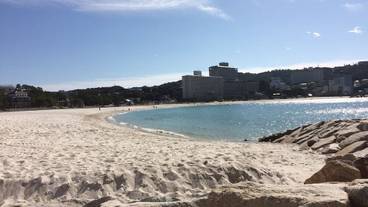 施設からの眺望 / 17