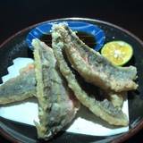 ライブ居酒屋 島唄（ライブイザカヤシマウタ）