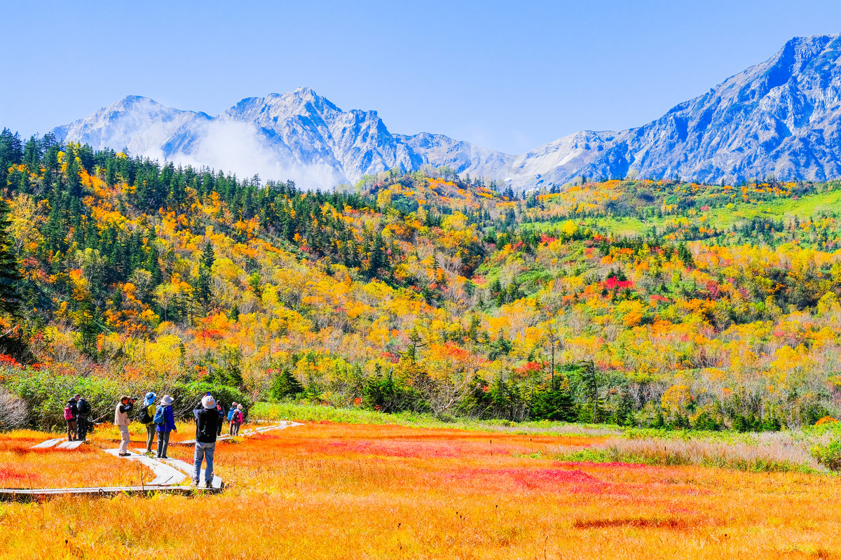 栂池自然園(秋)