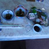 奥白浜椿温泉 湯治のできる宿 しらさぎ（和歌山県 旅館） / 5