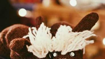 内装の詳細 / 20