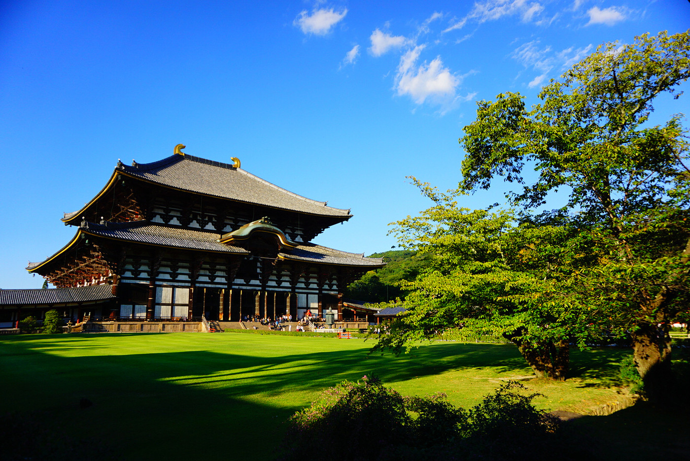 このアングルは最高でした😊