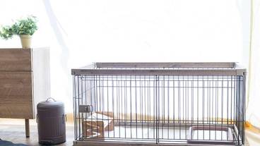 客室の設備とサービス / 24