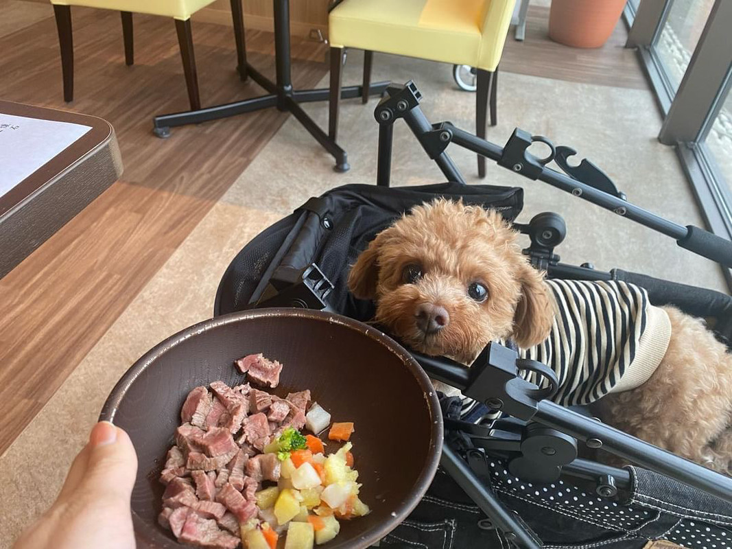 fuutan0130さんの写真 / 3