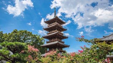 ランド ビュー / 30