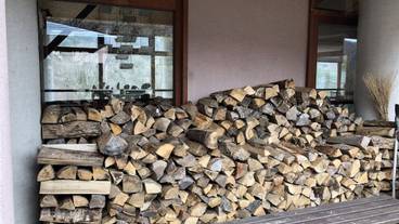 施設の敷地 / 13