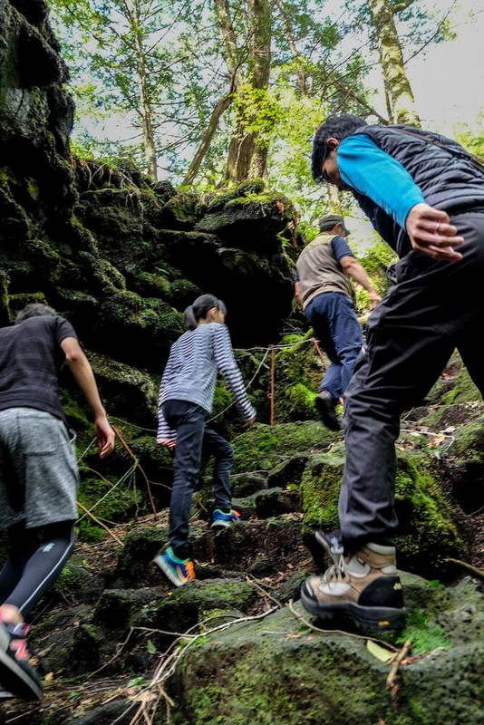 ネイチャーツアー