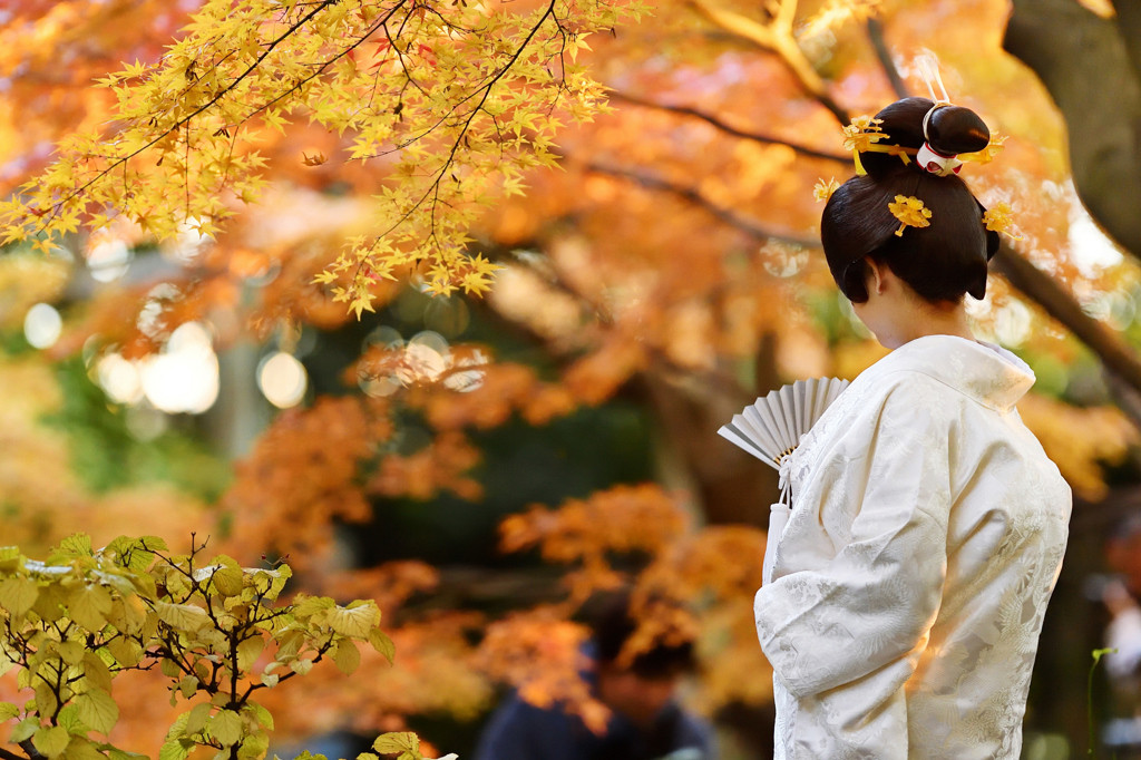 素敵なホテルに泊まって「熱田神宮」に参拝しましょう♡4023977