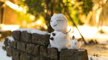 施設の敷地 / 14