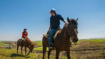 施設の敷地 / 11