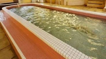 屋内スパ浴槽 / 1