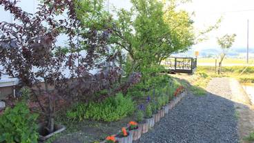 施設の敷地 / 11