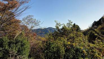 施設からの眺望 / 25