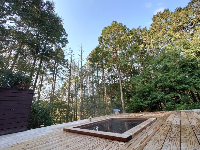 「風の森」 その他 146719605 