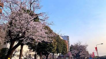 観光スポット / 11