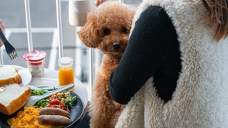 ベーシック ダブルルーム (2F)ペット同泊可