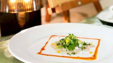 レストラン / 10