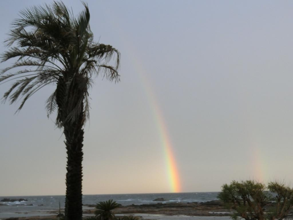 mnr619trsさんの写真 / 3