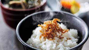 食事・飲み物 / 22