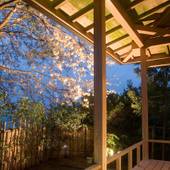 天橋立温泉 ホテル北野屋(京都府 旅館) / 3