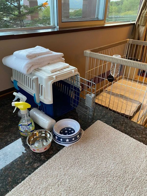 ruriribさんの写真 / 3