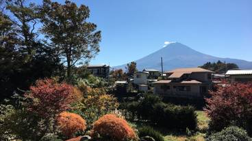 施設からの眺望 / 12