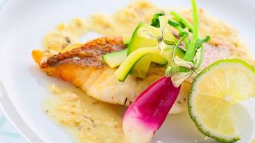 食事・飲み物 / 25