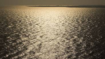 部屋からの景観 / 14