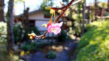 施設の敷地 / 18