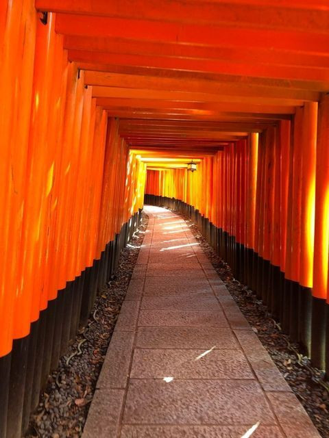 izm_ismさんの写真 / 2